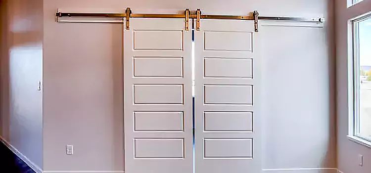 Glass Barn Door with Installation Hardware Kit Westminster