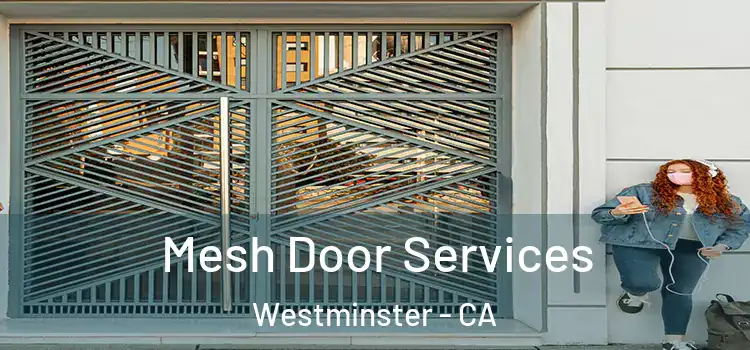 Mesh Door Services Westminster - CA