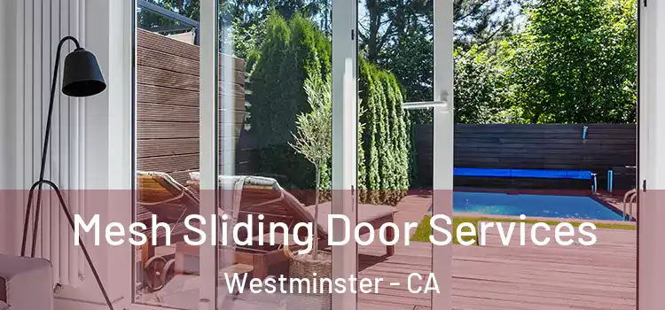 Mesh Sliding Door Services Westminster - CA